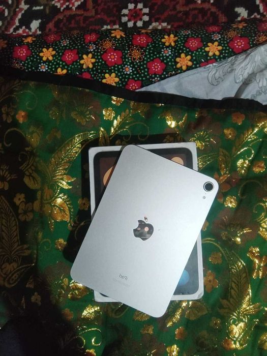 Ipad 6 mini radnoy