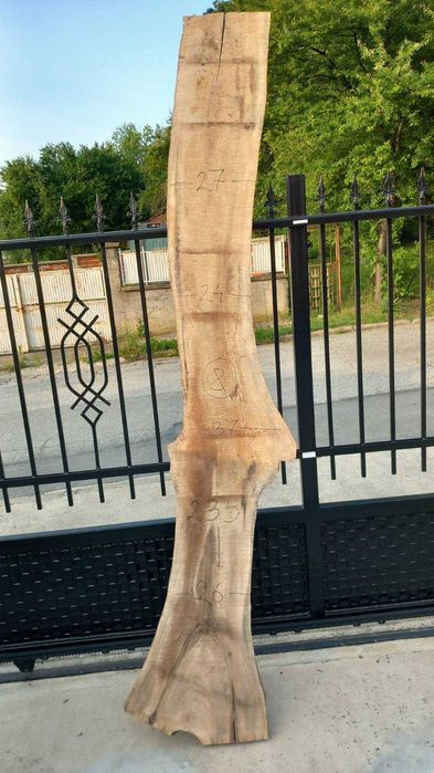 Орехови янове 6 см