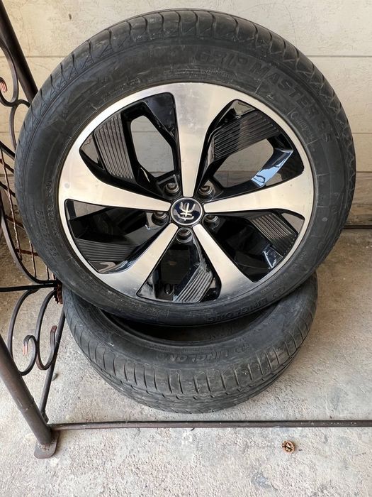 Byd radnoy disks r19