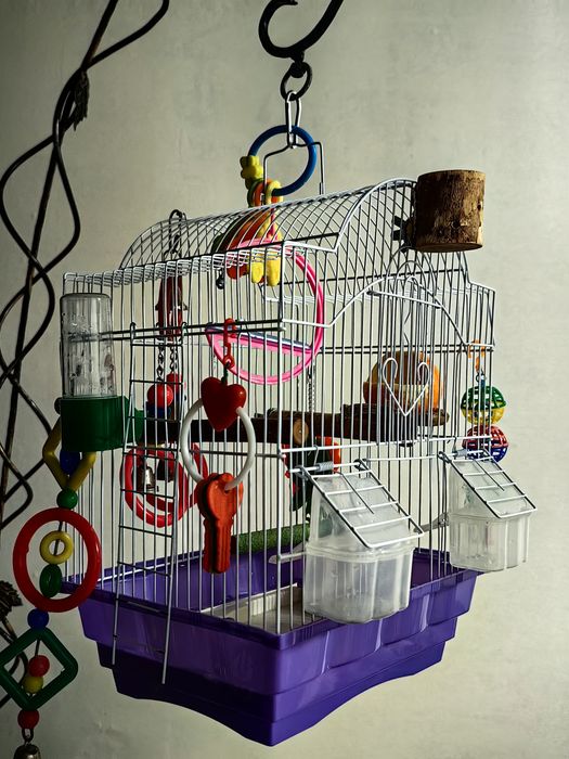 Клетка для попугая