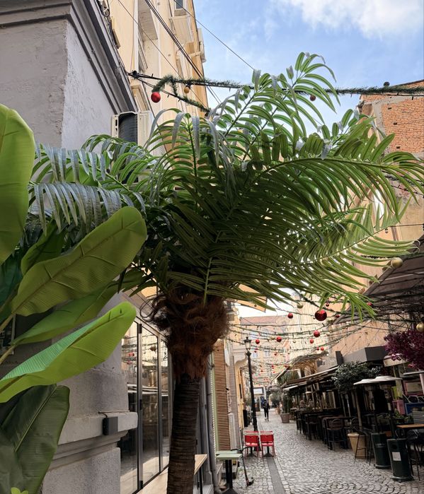 Изкуствена палма