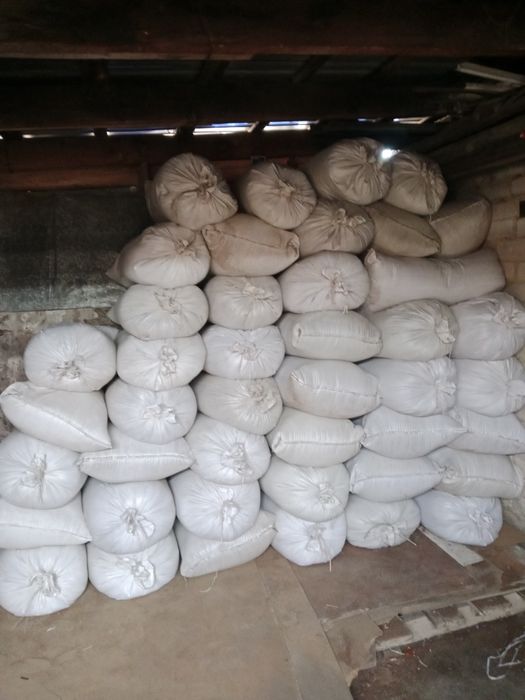 кебек тарының кебегі