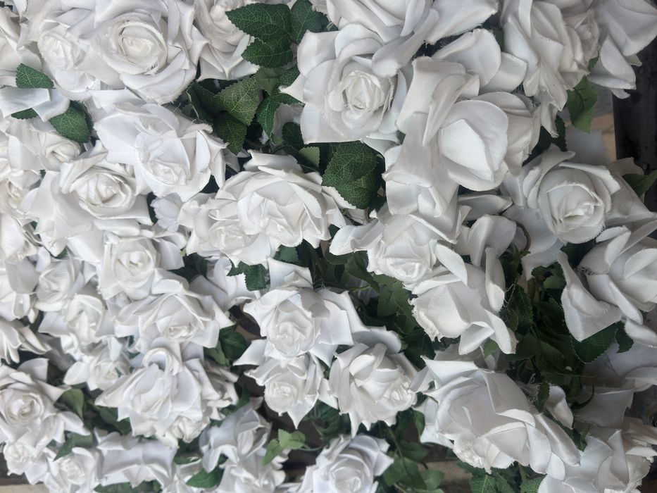 Ofarmleniya gullari arzon narxda