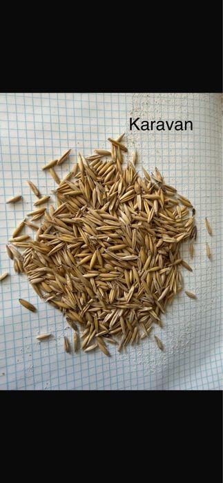 Продаются корма доя животных