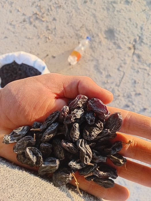 Изюм оптом! Мытый, отсортированный.Экспортно качество!