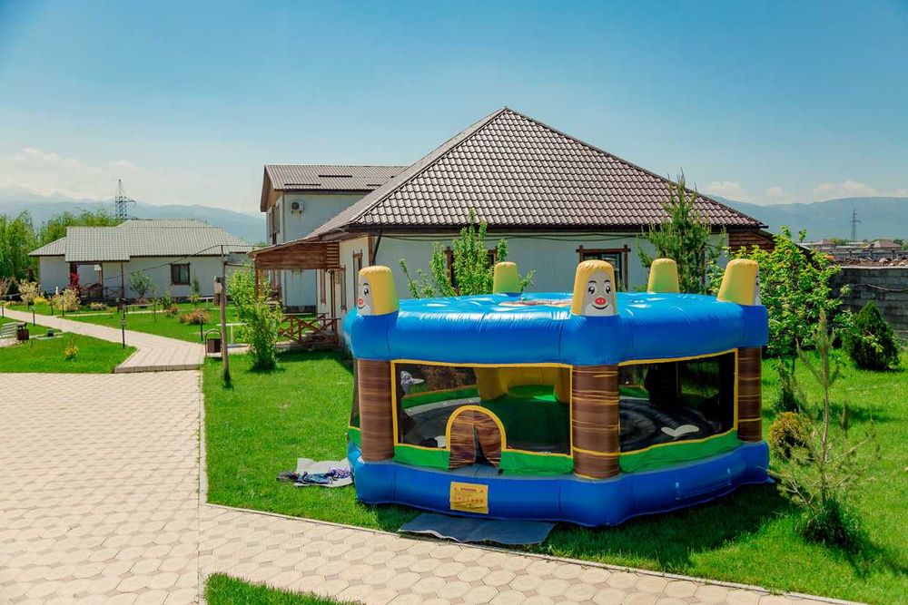 Надувной батут "Кроты"