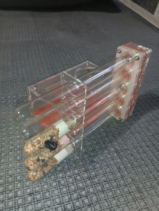 Муравьиная ферма, формикарий