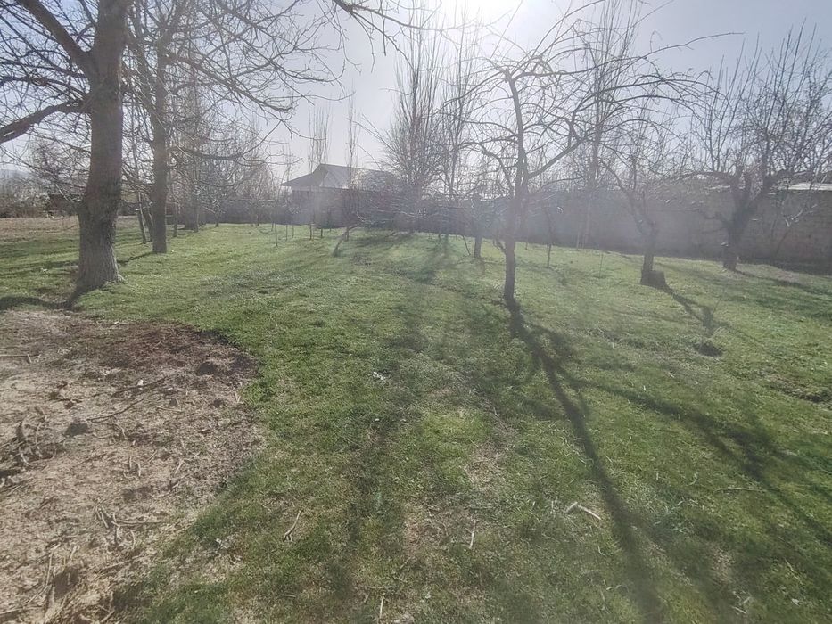 Yer sotiladi Oq towdan