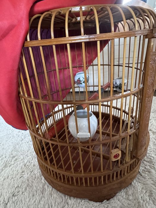 Cusca pasari de talie mica si medie Thailandeza