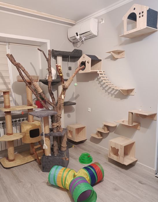 Передежка кошек . Зоогостиница