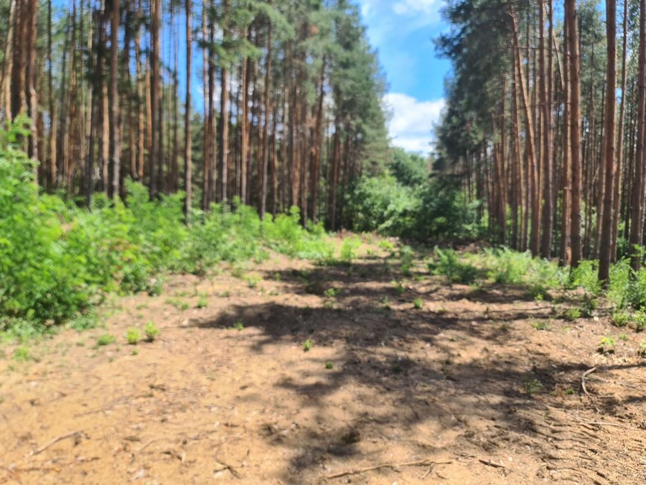 Продава се Парцел в Казанлък - 6200 кв.м за 10 €/кв.м - Снимка #5