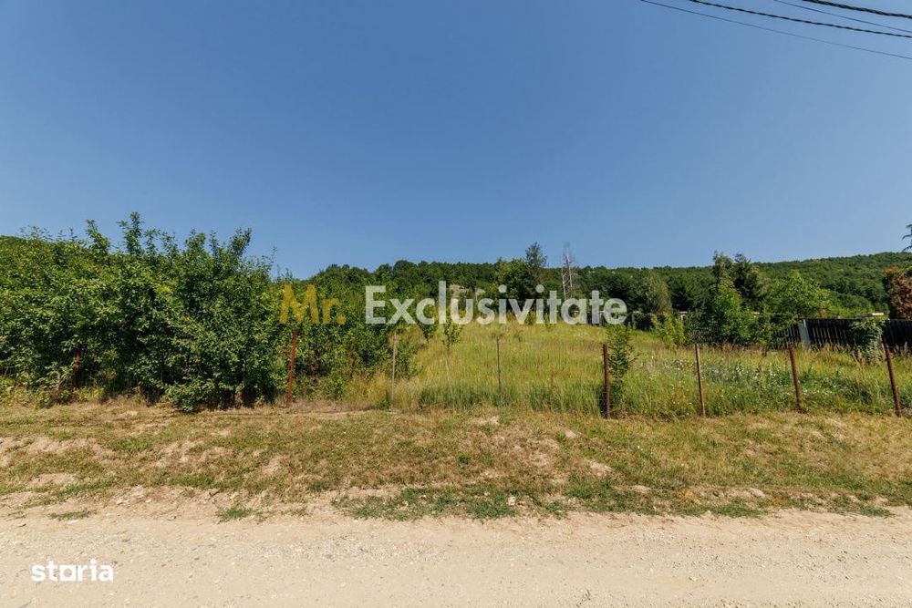 Teren intravilan Ștefănești Valea Mare Podgoria