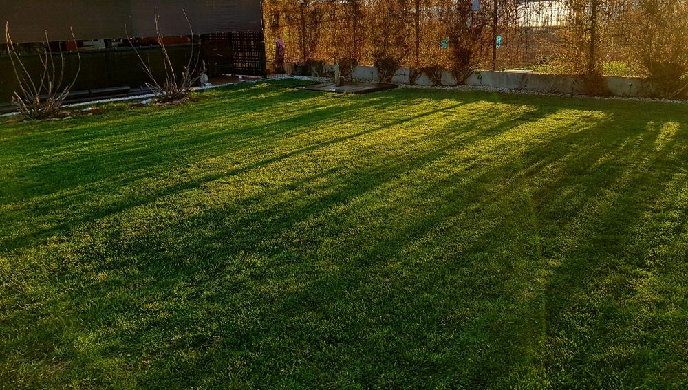 Scarificator aerator profesional