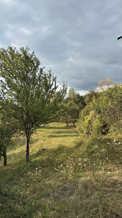 Teren 7.200–7.500 mp, sat Piatra, comuna Stoenești, jud. Argeș — livadă, fâneață și liniște deplină