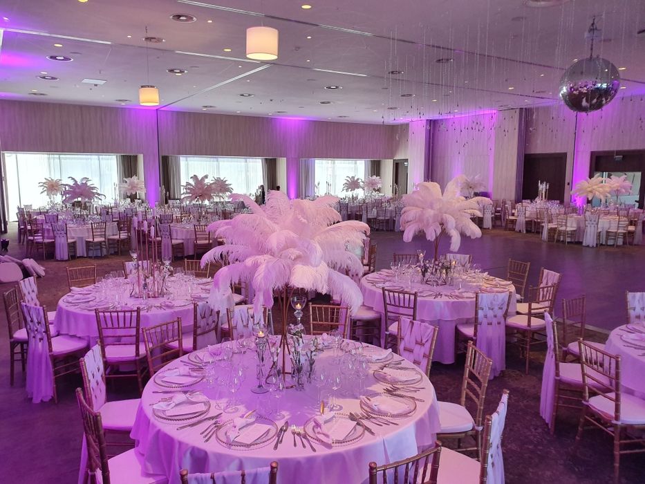 Aranjamente cu pene de strut de inchiriat