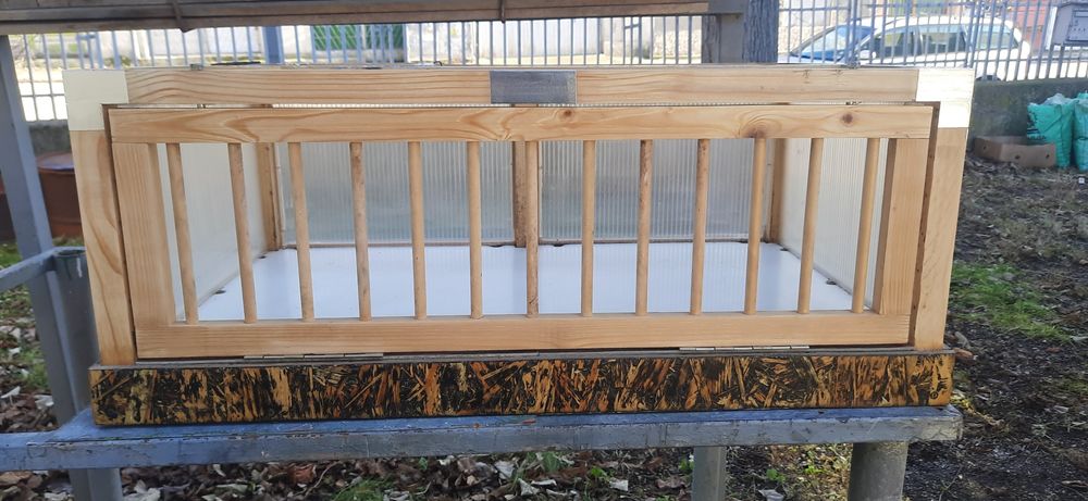 Преноски за гълъби