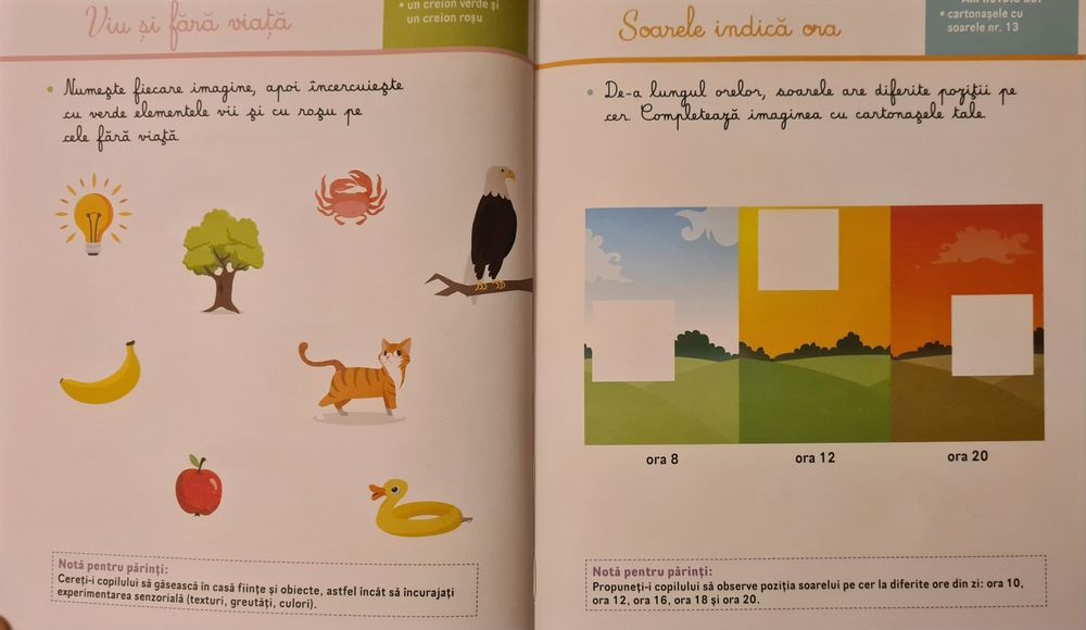 Atelier Montessori Descopera Lumea Inconjuratoare