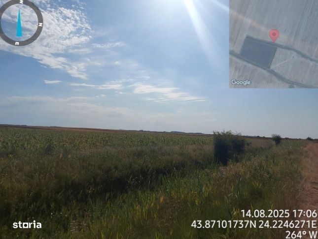 Cota de 1/4 din teren loc. Amarastii de Jos, Jud Dolj