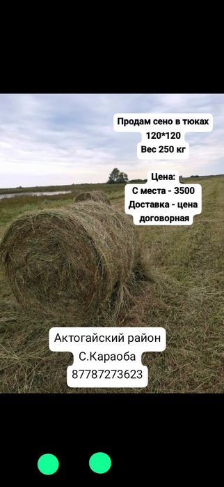 Продам сено луговая 250кг