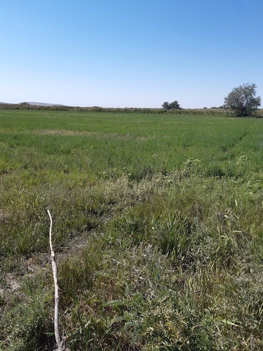 Земельный участок 2.4 га