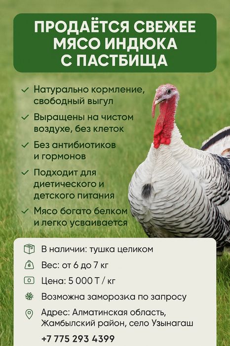 Мясо индейки с пастбища Дегерес