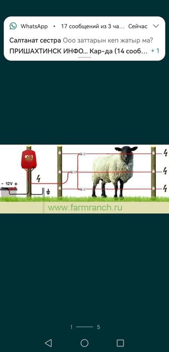 Электропастух Караганды