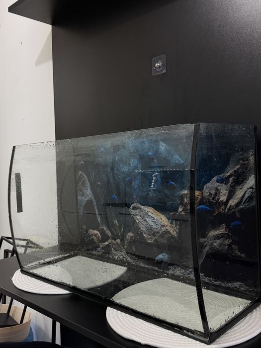 Acvariu 72 cm lungime