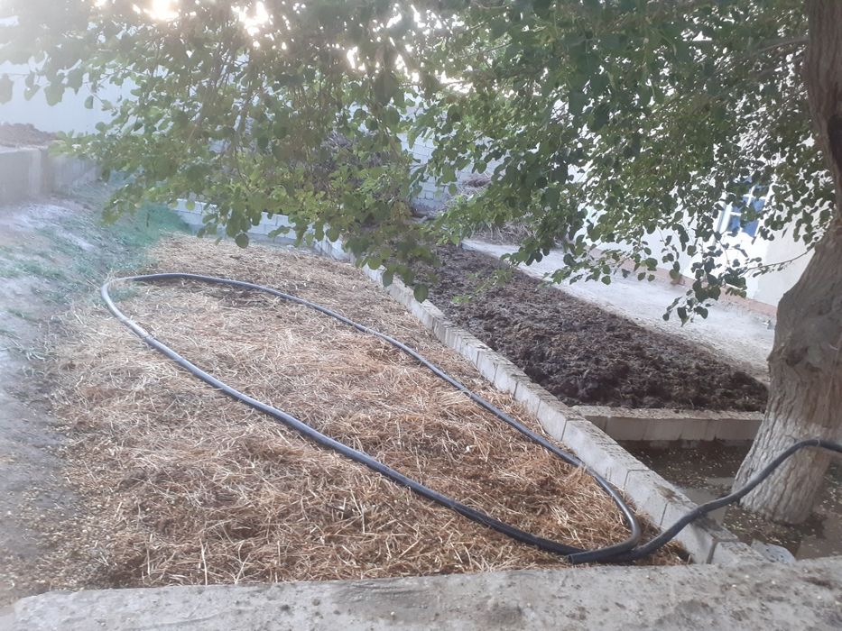 Sifatli Biogomuslar va chuvalchanglar optom sotuvda