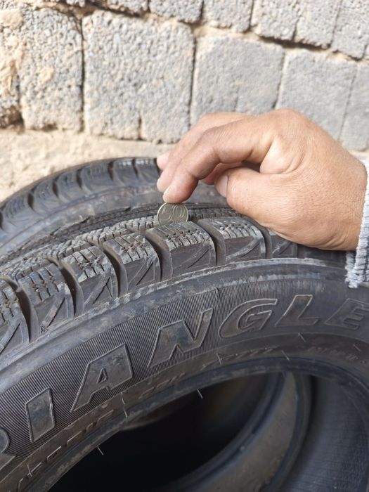 Зимние шины Triangle
