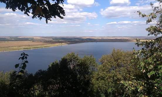 Продава се Земеделски имот в с. Рабиша, Област Видин -  кв.м за 4299 €/дка - Снимка #2