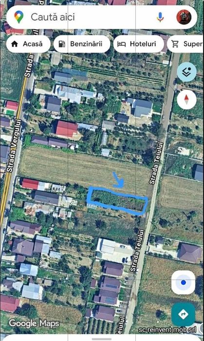 Teren intravilan de vanzare in Golesti sat Nou ( VN)