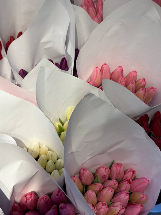 Лолалар ТЮЛЬПАНЫ Ташкент