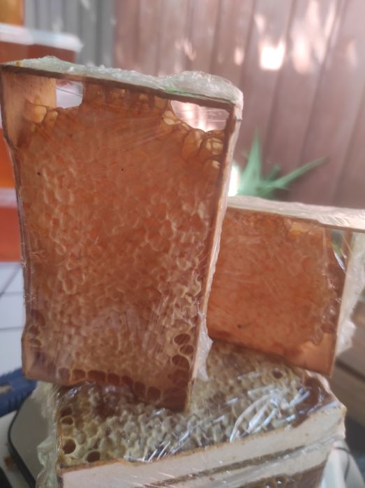 Сотовый мёд, пыльца, прополис, мед