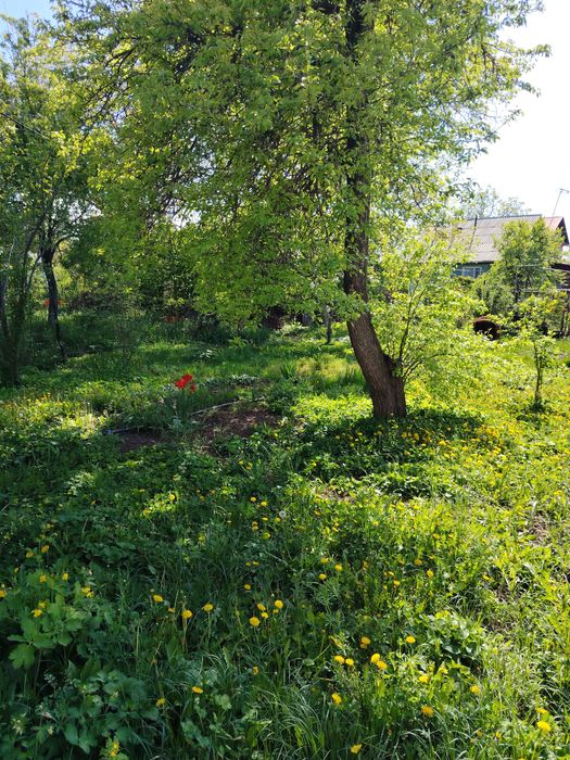 Продам уютную дачу