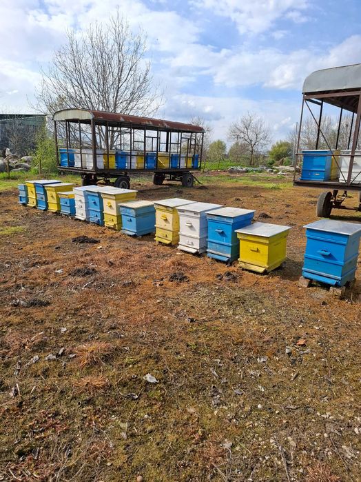 Продавам пчелни семейства