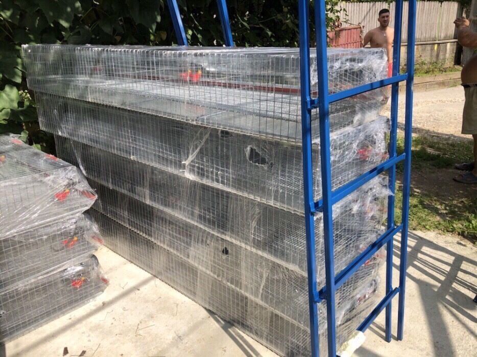 Modul 5 nivele de custi prepelite / 200 cm Produs NOU !!! Modul 5 nive