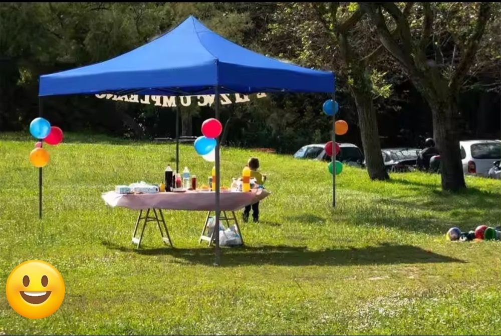 Шатра-тип хармоника