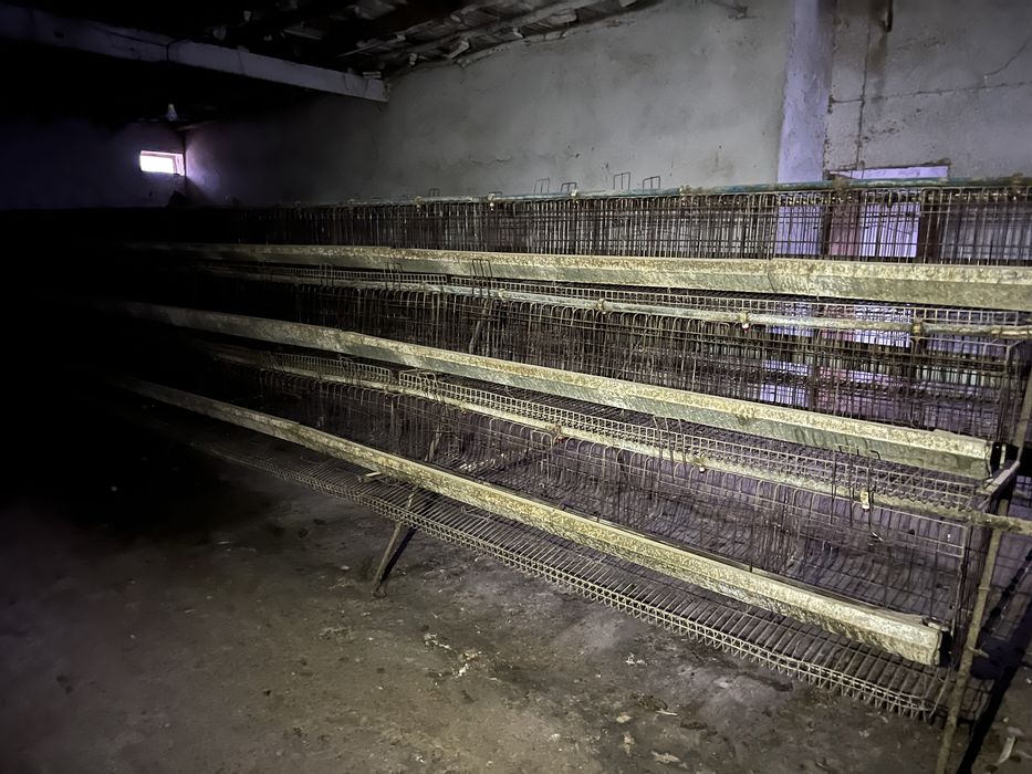Клетки для кур (несушки)