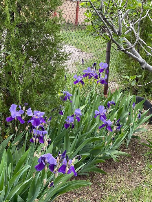 Продава се Къща в Сливен, в.з. Сливен - 55 кв.м за 1182 €/кв.м - Снимка #5