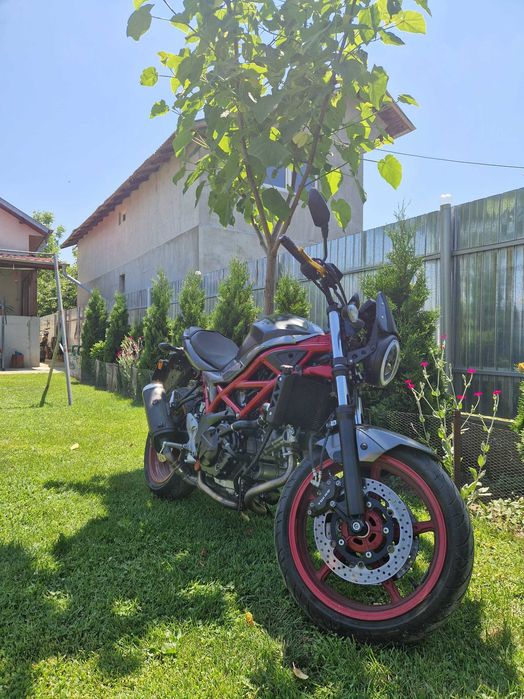 Suzuki sv650 2020