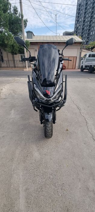 Tiger skuter sotiladi