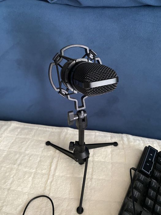 Микрофон Ritmix RDM 160