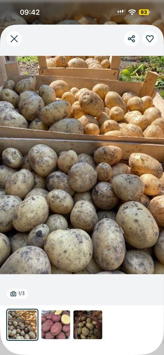 Продам деревенский картофель