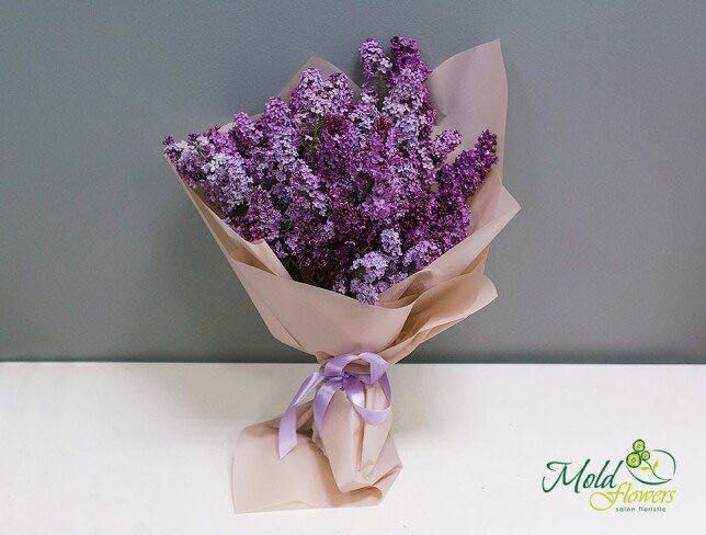 сирень свежий средний