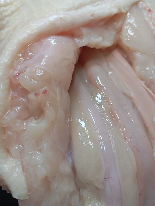 Продаю тушки гусей