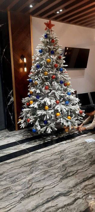 Новогодние ёлочки !