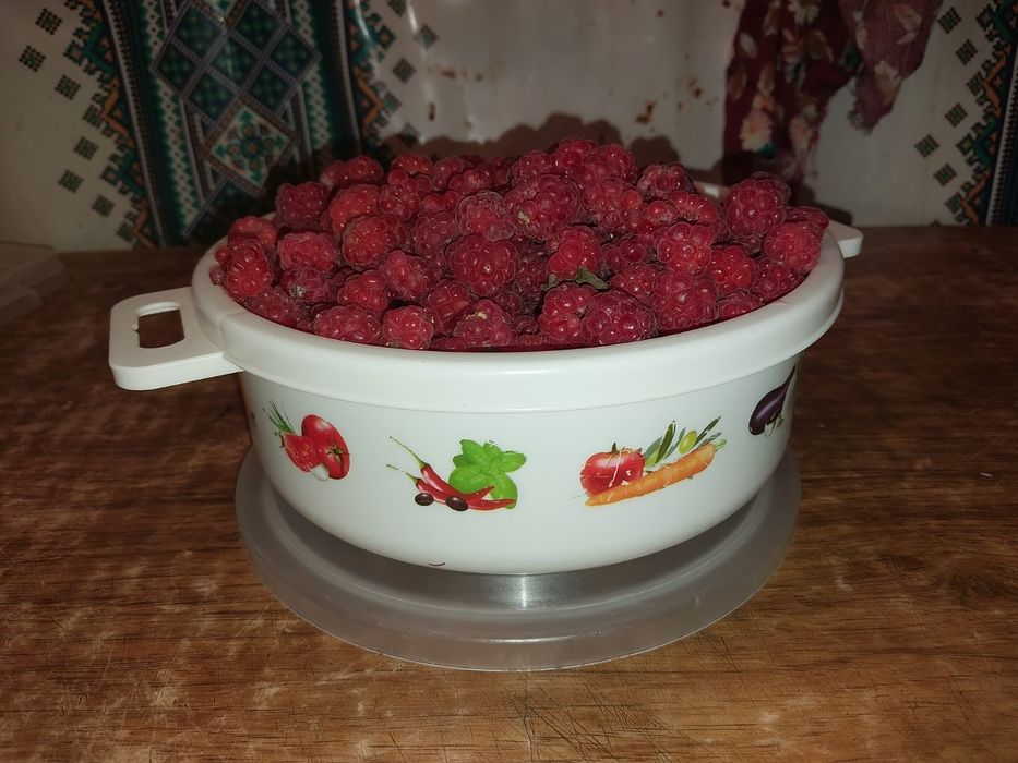 Продам домашнуюю малину