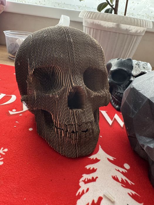 Коллекция черепов