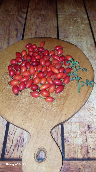 Maciese de vinzare disponibil doar pe comanda negociabil