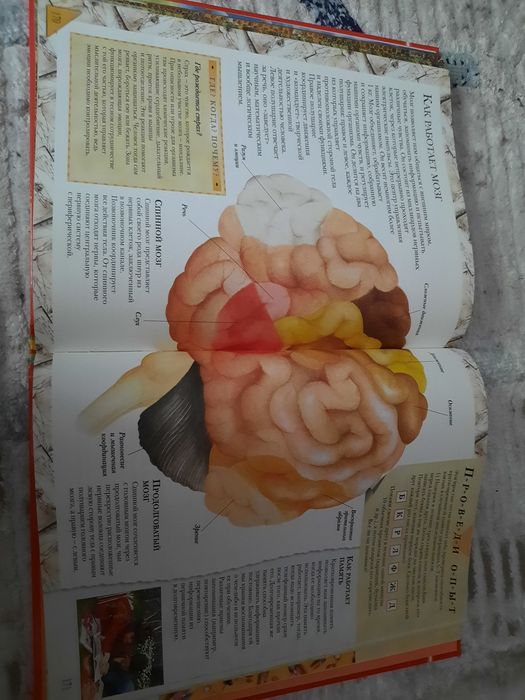 Энциклопедия Почему